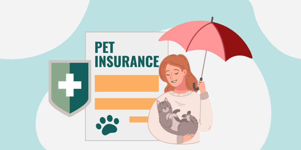 Infographic of a pet owner looking into pet insurance