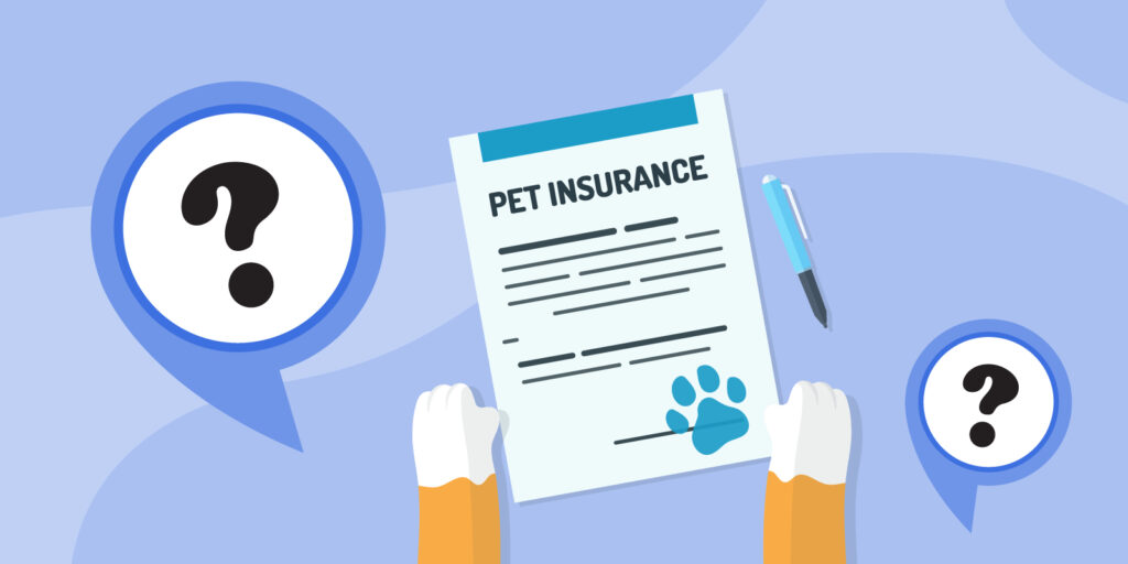 Infographic of paperwork on pet insurance 